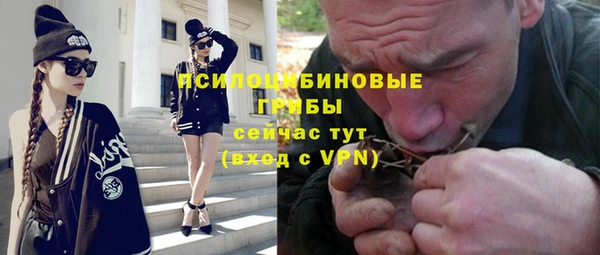 дурь Няндома