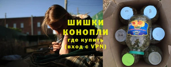 дурь Няндома