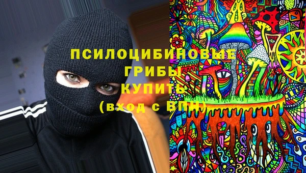 дурь Няндома