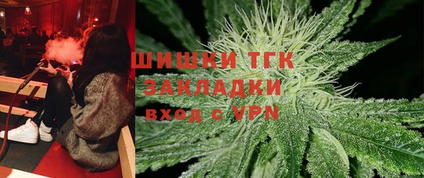 дурь Няндома