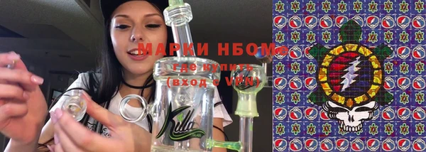 шишки Нязепетровск