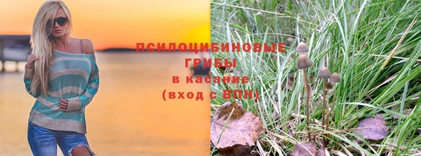 дурь Няндома