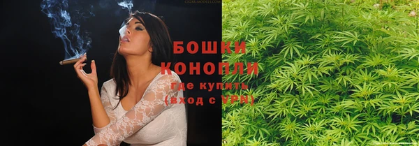 дурь Няндома