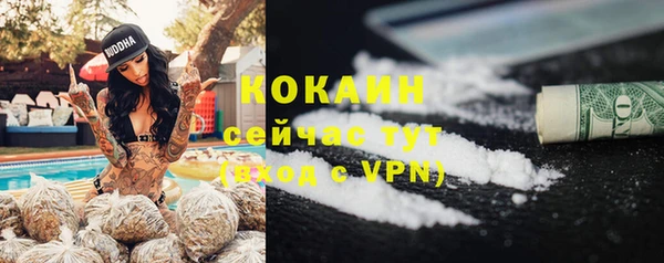 дурь Няндома