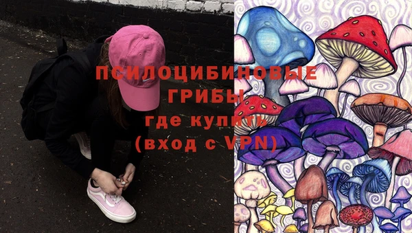 шишки Нязепетровск