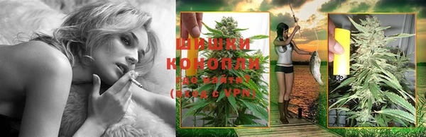дурь Няндома