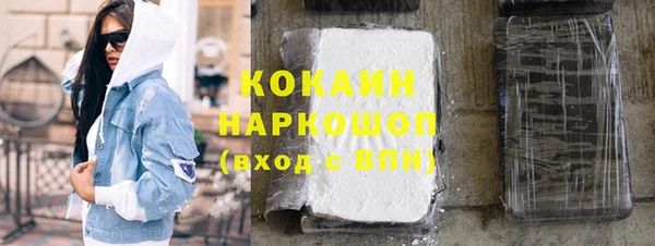 дурь Няндома