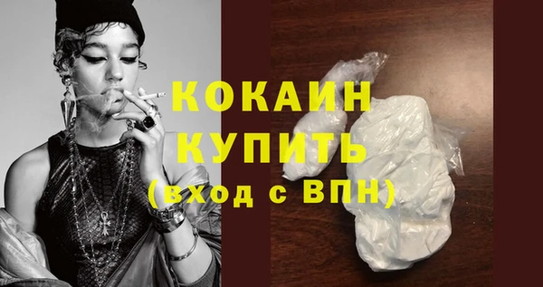 шишки Нязепетровск