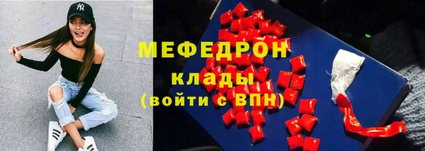 дурь Няндома