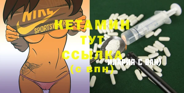 дурь Няндома